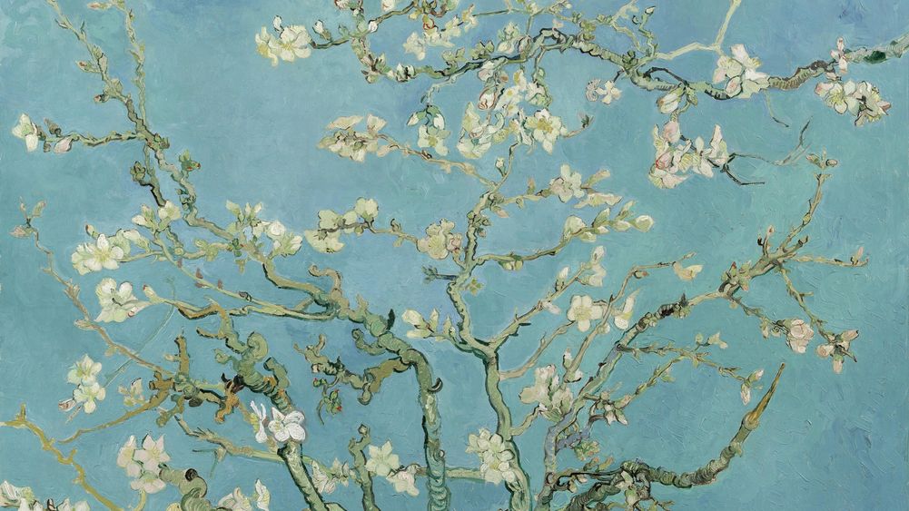Almond Blossom
