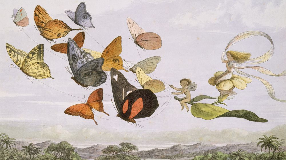 The Fairy Queen Takes an Airy Drive