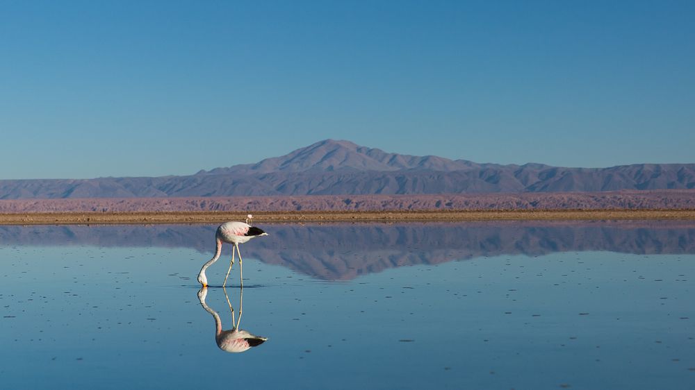 San Pedro de Atacama