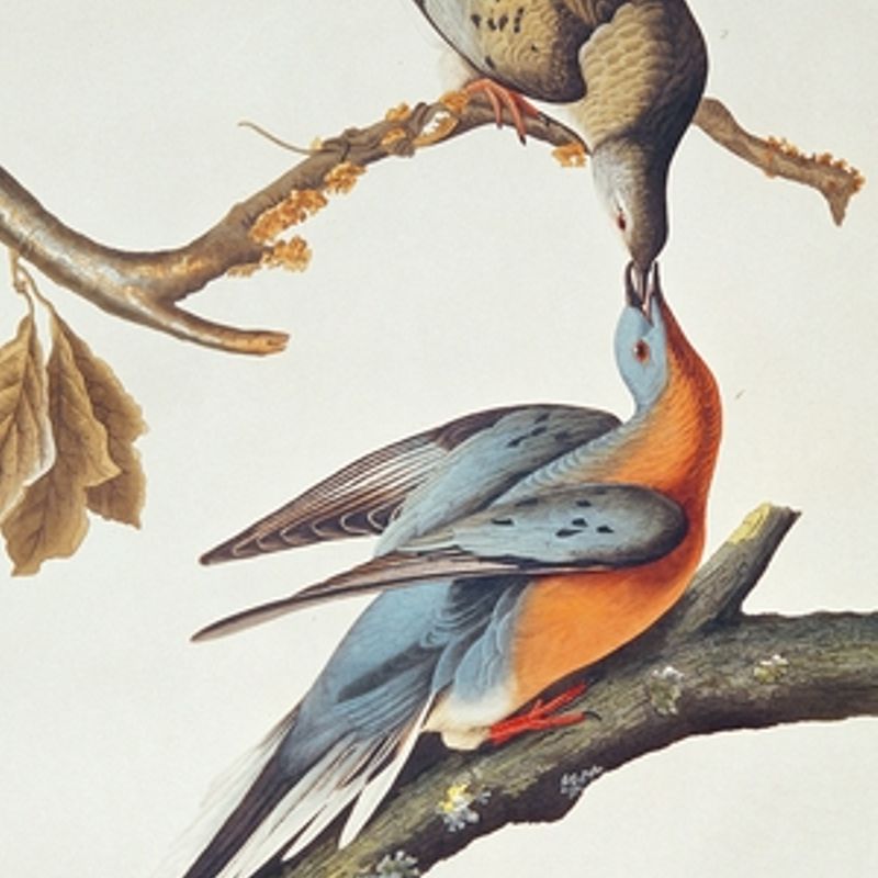 John James Audubon