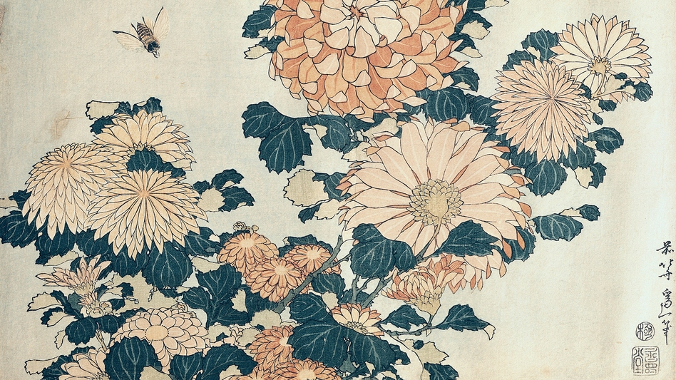 Bee and Chrysanthemums
