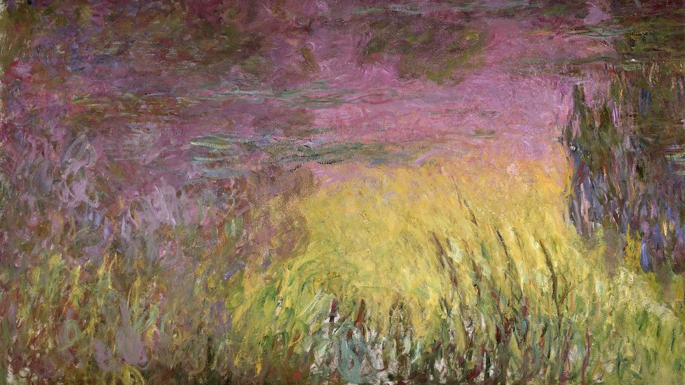 Waterlilies at Sunset
